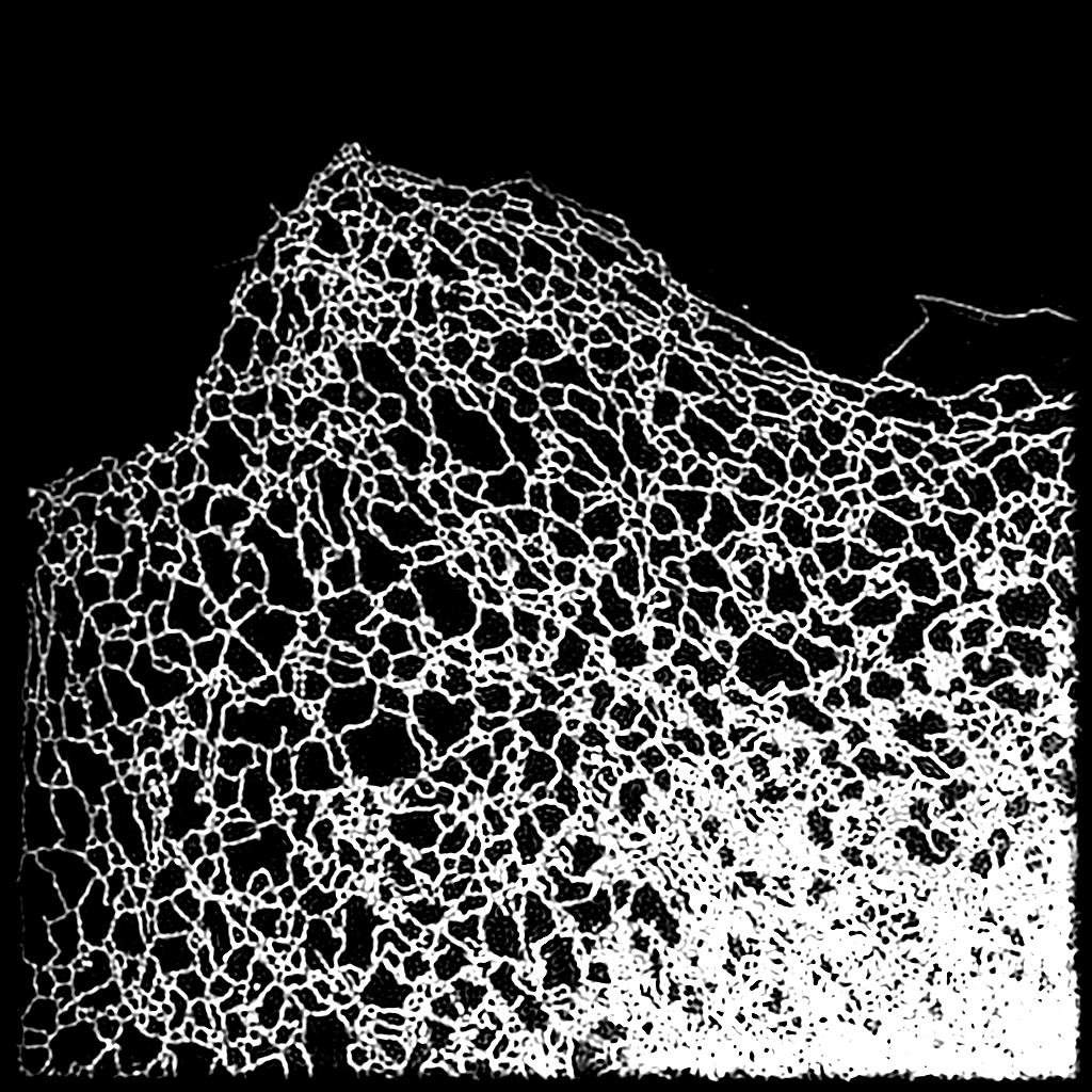 Test image 2